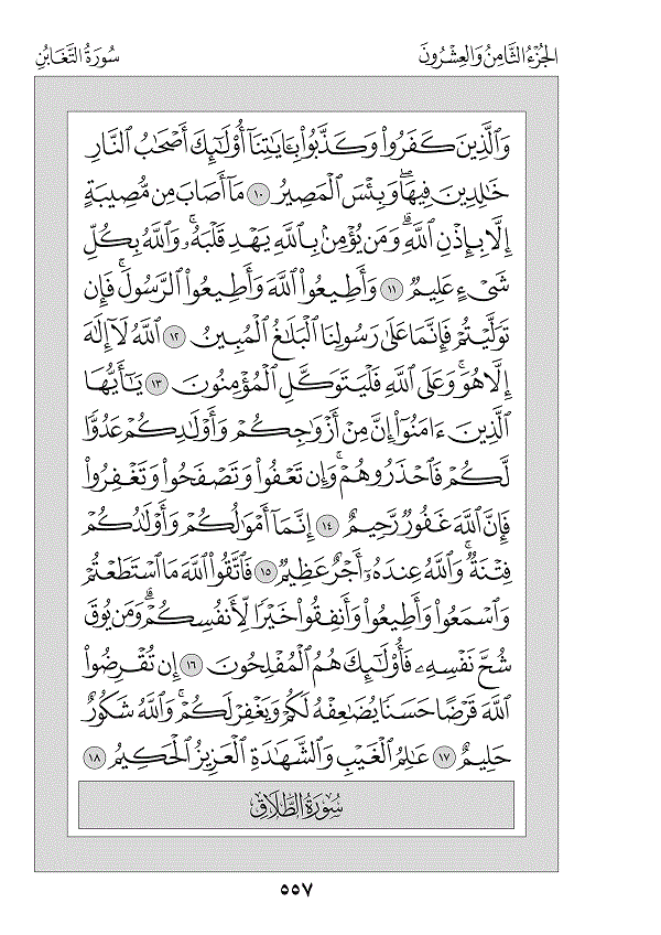 Surah 64 — التغابن (At-Taghābun)
